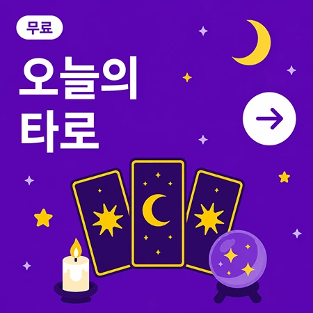 오늘의 타로